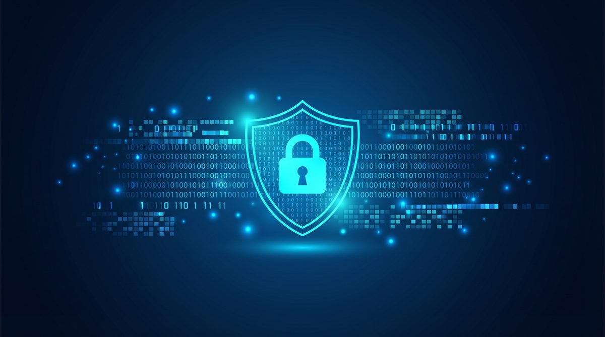 电子油门加速器原理隐私安全保护